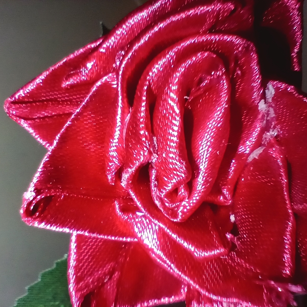 Red Satin Roses - Picture 6 of 7